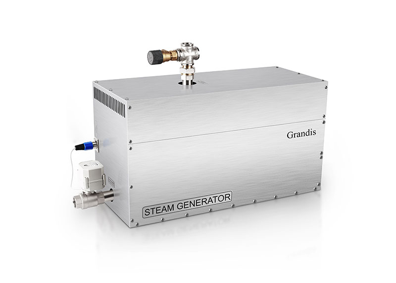 parogenerator-grandis-ds-45-v-k-t-pul-forsunka-datchik-avtosliv.jpg